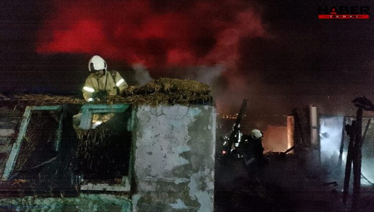 Silivride korkutan yangın: Kısa sürede 15 baraka alev aldı