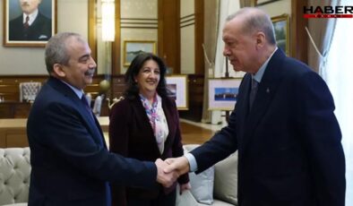 Sırrı Süreyya Önder'in vefatına Saray'dan ilk tepki