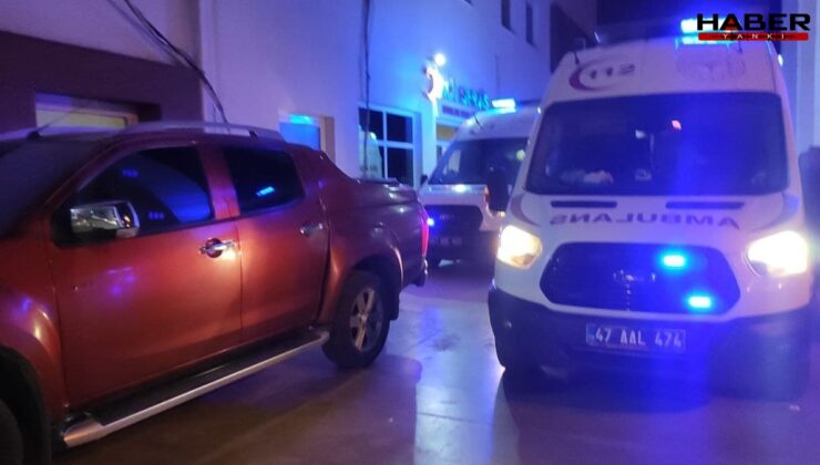 Tüfekle oynayan çocuk kendini vurdu