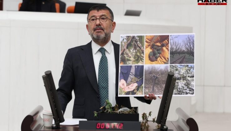 Veli Ağbaba ve yükselen CHP oyları