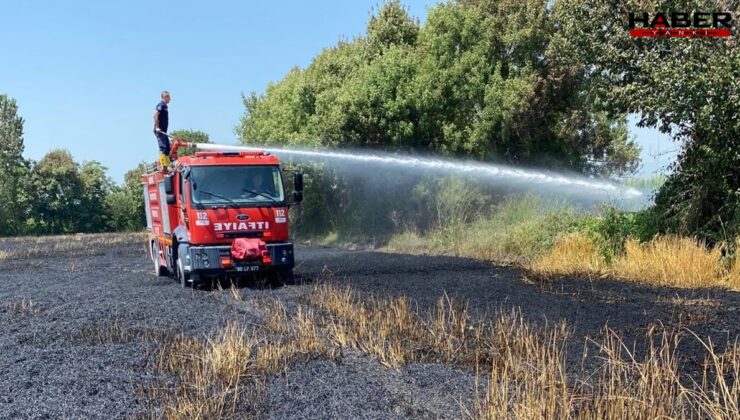 20 dönüm buğday ekili alan yandı