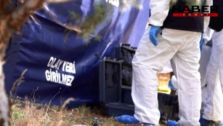Acı haberler peş peşe geldi: İki aileden 6 kişi hayatını kaybetti, 1 kişi yaralandı