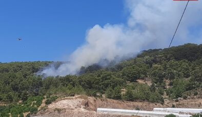 Antalya'da orman yangını çıktı!
