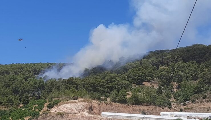Antalya'da orman yangını çıktı!