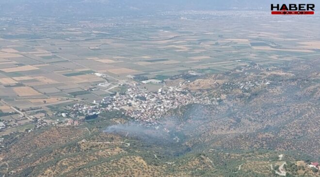 Aydın'da tarım arazisi küle döndü