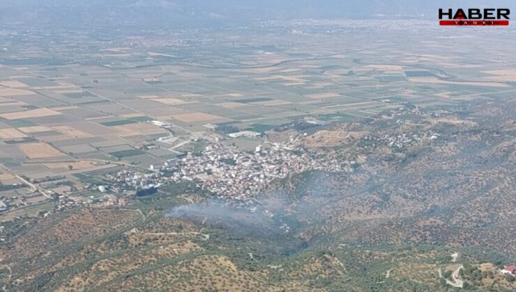 Aydın'da tarım arazisi küle döndü