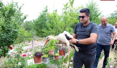 Bahçelerine düşen yaralı leyleğe sahip çıkıp, balıkla beslediler