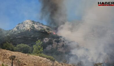 Bodrum alev alev yanıyor: 2 bin 500 kişi tahliye edildi