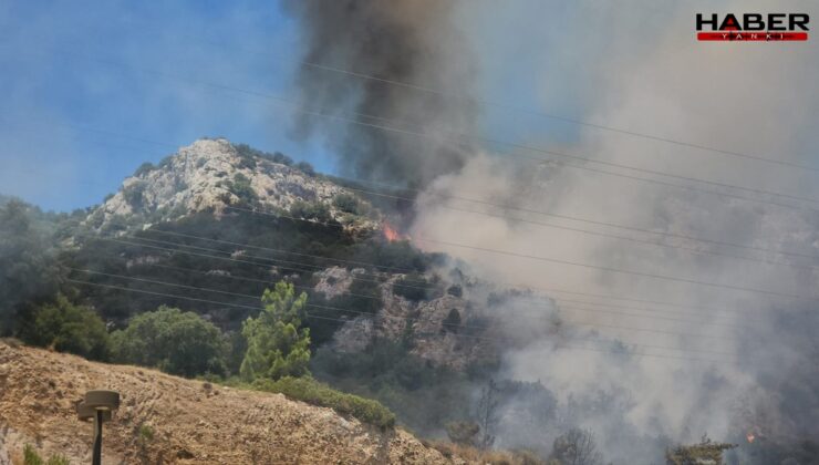 Bodrum alev alev yanıyor: 2 bin 500 kişi tahliye edildi