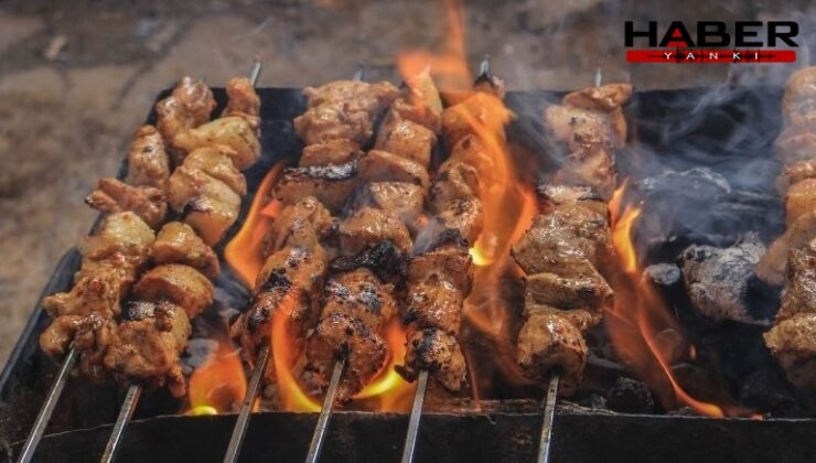 Bolu'da tatilcilerin uğrak yerinde 'mangal' yasağı