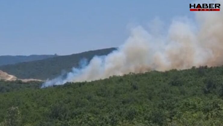 Bursa'da orman yangını; helikopterle müdahale ediyor