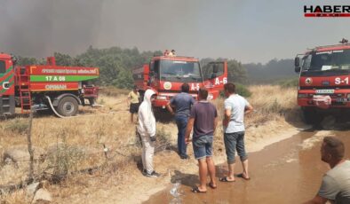 Çanakkale'deki orman yangınlarına ilişkin 26 kişi hakkında adli işlem başlatıldı
