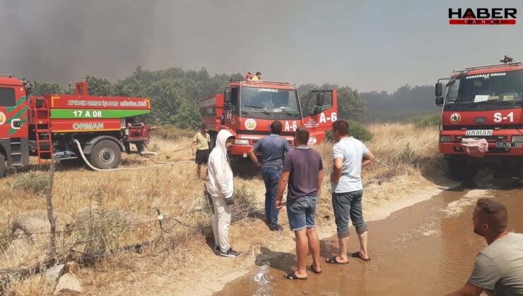 Çanakkale'deki orman yangınlarına ilişkin 26 kişi hakkında adli işlem başlatıldı