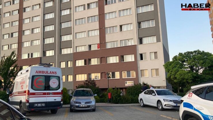 Cezaevindeki kadının evindeki dondurucudan bebek cesedi çıktı