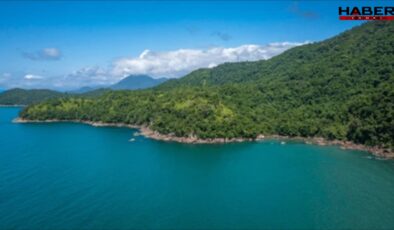 Deniz kıyısındaki ormanlık alanlar turizme açıldı
