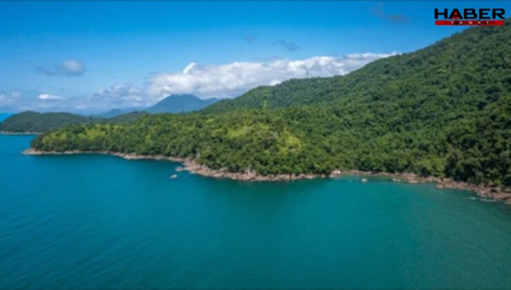 Deniz kıyısındaki ormanlık alanlar turizme açıldı