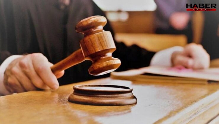 Devrettiği sosyal medya hesabından 'Cumhurbaşkanı'na hakaret' paylaşımı yapıldı: 3 ay tutuklu kaldı, ilk duruşmada tahliye oldu