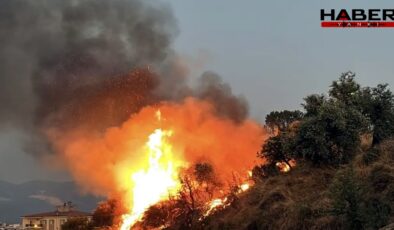 Hatay'ın ardından Mersin'de de orman yangını çıktı