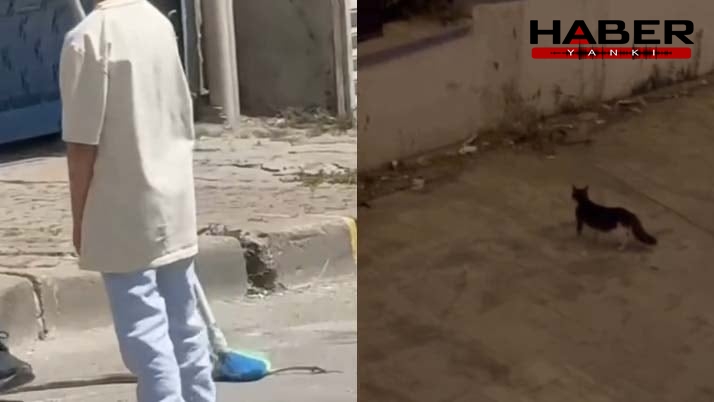 Havalar ısınınca ortaya çıktı: İstanbul'da yedi ilçedeki vatandaşlar tedirgin