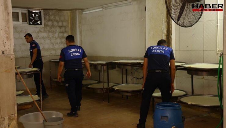 İhbar gelince denetime gidildi: Tonlarca ürün imha edildi
