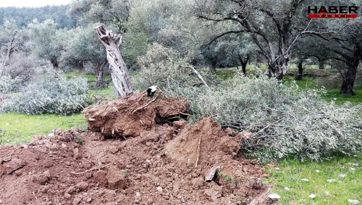 İkizköylüler TBMM’ye seslendi: "Şirketlerin yanında değil köylünün yanında olun"