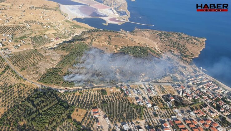 İzmir'de maki yangını