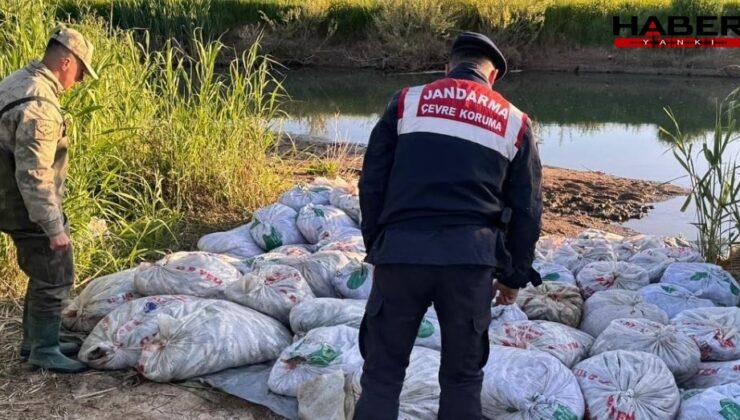 Jandarma 24 saat nöbete başladı: Kutsal canlıyı artık çuvalla kaçırıyorlar