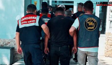 Kayseri'de köpek dövüştüren 8 şüpheli yakayı ele verdi
