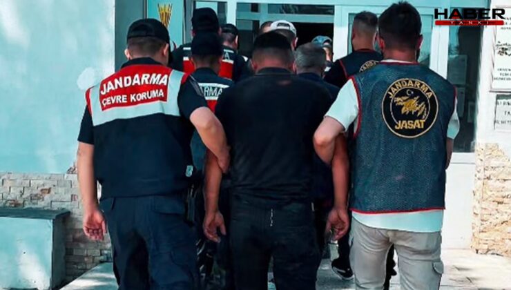 Kayseri'de köpek dövüştüren 8 şüpheli yakayı ele verdi