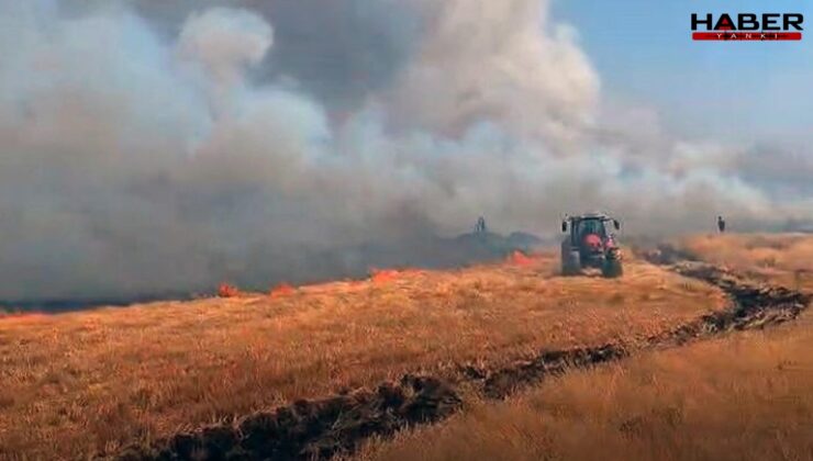 Mardin'de yangın faciası: 1000 dönüm buğday küle döndü