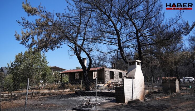 Tadilat felaketi: Bir kıvılcım ormanı, mahalleyi kül etti