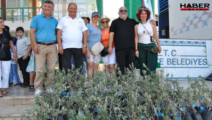 Yasaya tepki için zeytin fidanı dağıttılar