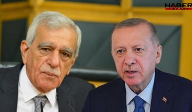 Ahmet Türk’ten Erdoğan'a teşekkür telefonu