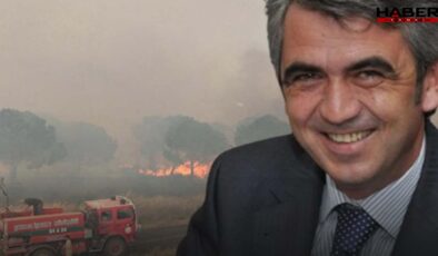 AKP'li eski başkanın mangal keyfi kötü bitti: Orman yanınca tutuklandı