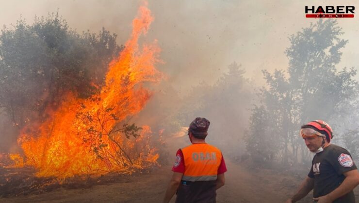 Alevlerden sığındıkları mağarada yandılar