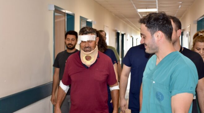Antalya'da aslanın saldırdığı kişi taburcu edildi