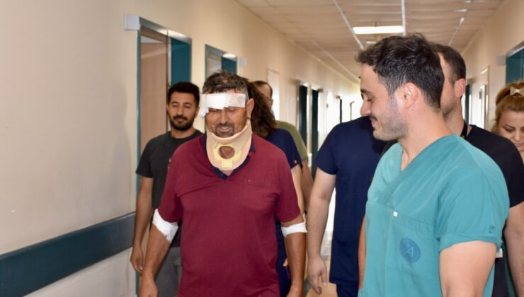 Antalya'da aslanın saldırdığı kişi taburcu edildi