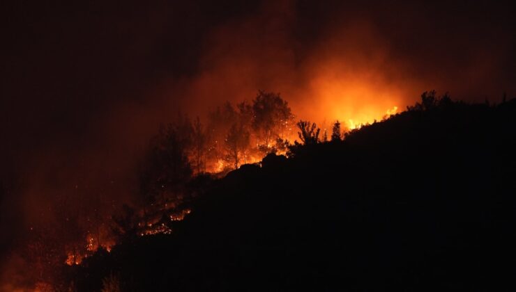 Bakan Yumaklı duyurdu: 2 ilde yangınlar kontrol altına alındı