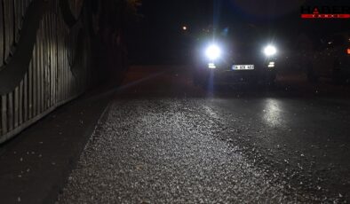 Binlercesi aynı gün çiftleşip topluca öldüler