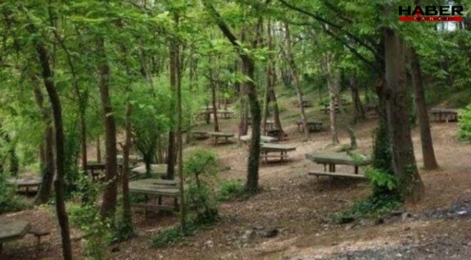 Bolu’da ateşli pikniğe yasak