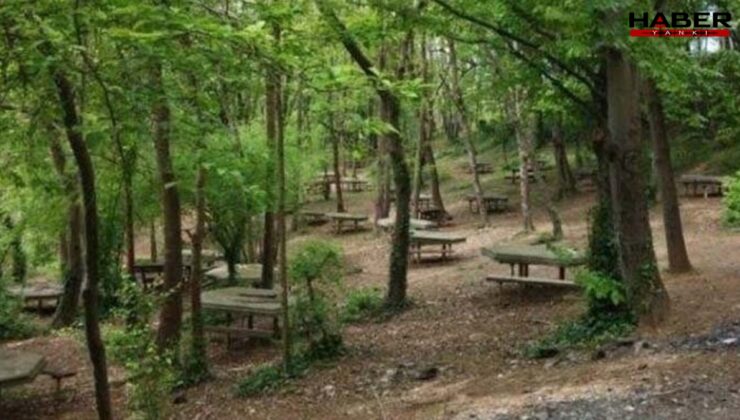 Bolu’da ateşli pikniğe yasak