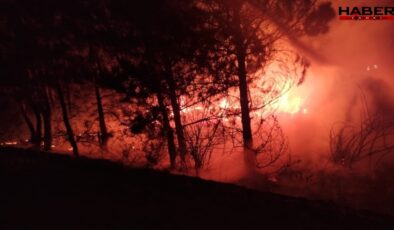 Bolu’da örtü yangını! Alevler kontrol altına alındı