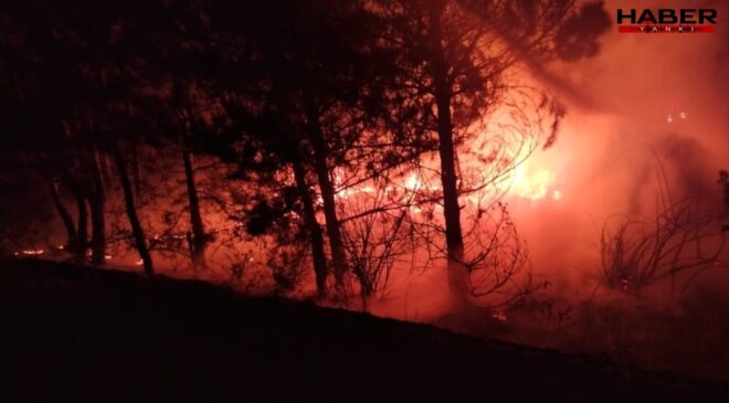 Bolu’da örtü yangını! Alevler kontrol altına alındı