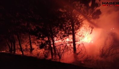 Bolu’da örtü yangını söndürüldü