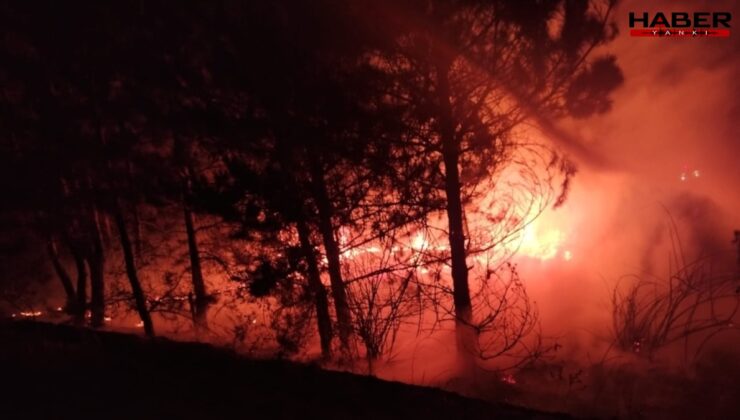 Bolu’da örtü yangını söndürüldü