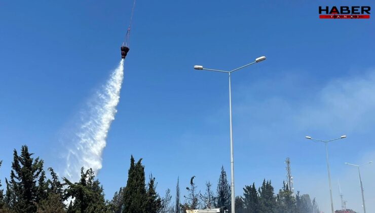 Bornova'da yangına hangi araçlarla müdahale ediliyor? OGM açıkladı