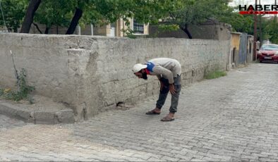 Bu da Suriyeli Zübük!