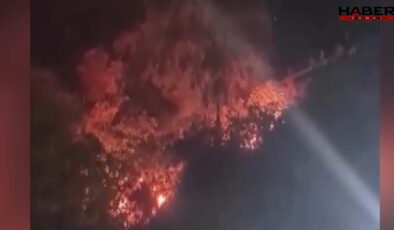 Bursa'da havai fişek patlatıp yangın çıkarmışlardı: Şüpheliler için karar verildi