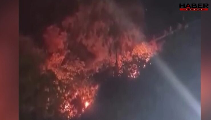 Bursa'da havai fişek patlatıp yangın çıkarmışlardı: Şüpheliler için karar verildi
