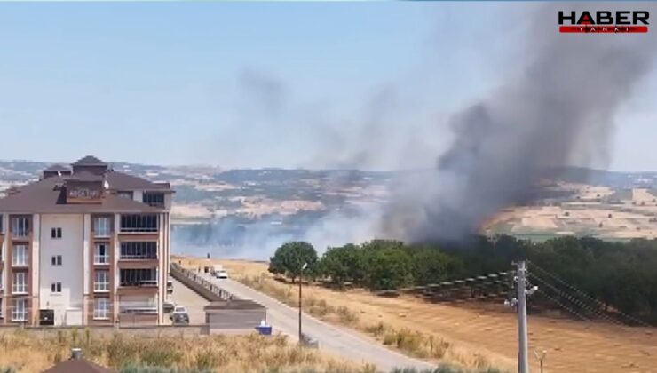 Bursa'da yürekleri ağza getiren anız yangını